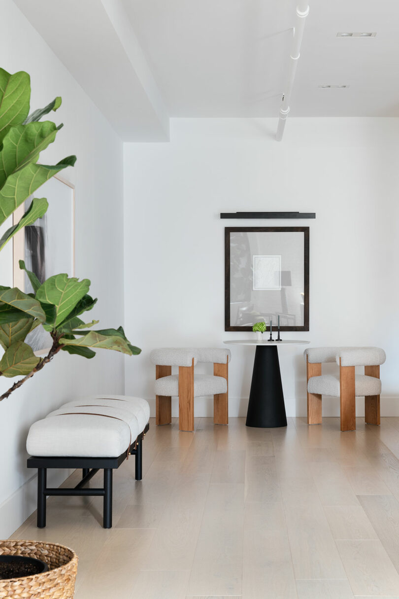 Modern living area with light wooden floor, white walls, two wooden framed chairs, a black side table, a framed artwork and a potted plant in the corner.